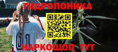 spice Малгобек