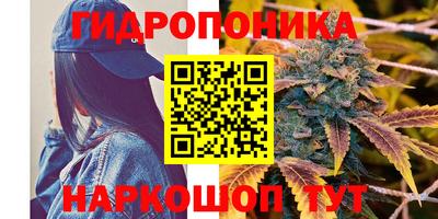 spice Мариинск