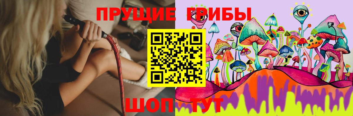 Псилоцибиновые грибы Cubensis Электросталь